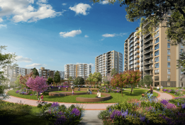 Sur Yapı Lavender Fotoğrafları