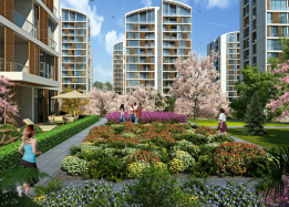 Resim İstanbul Orman / Nefes Fotoğrafları