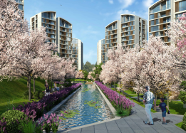 Resim İstanbul Orman / Nefes Fotoğrafları