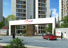 Resim İstanbul Orman / Nefes Fotoğrafları