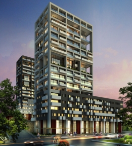 Kartal Wings Fotoğrafları