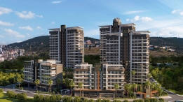 Zer Kartal Fotoğrafları