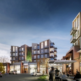 Nef Ormantepe Fotoğrafları