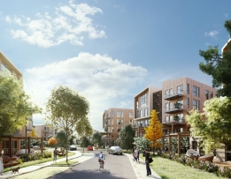 Nef Ormantepe Fotoğrafları