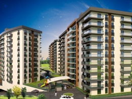 Farilya Asia Fotoğrafları