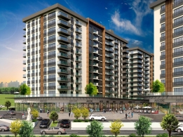 Farilya Asia Fotoğrafları