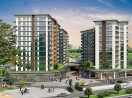 Farilya Asia Fotoğrafları