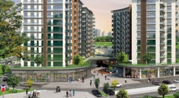 Farilya Asia Fotoğrafları