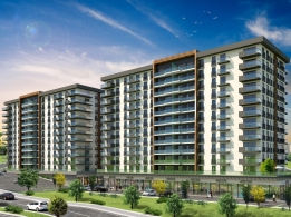 Farilya Asia Fotoğrafları