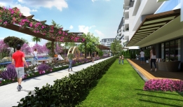 Cadde Alyans Fotoğrafları